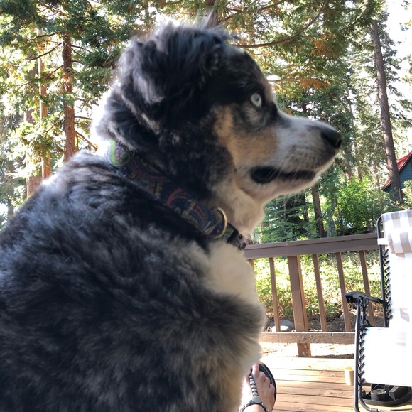 Meet your Posher, Juli - Picture 1 of 1